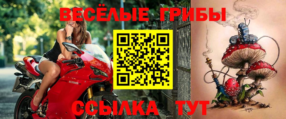 Галлюциногенные грибы прущие грибы Ишимбай
