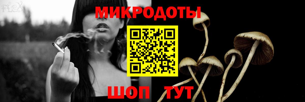 Ишимбай  Галлюциногенные грибы Cubensis  где можно купить   Вход с VPN 